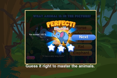 Mammal Animals of Different Kinds screenshot 3