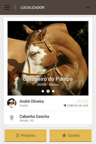 Cavalo Crioulo Online screenshot 3