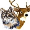 Oil Painting Wildlife: Deer & Wolves