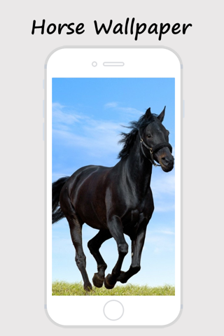Horse Wallpapers and Backgrounds screenshot 4