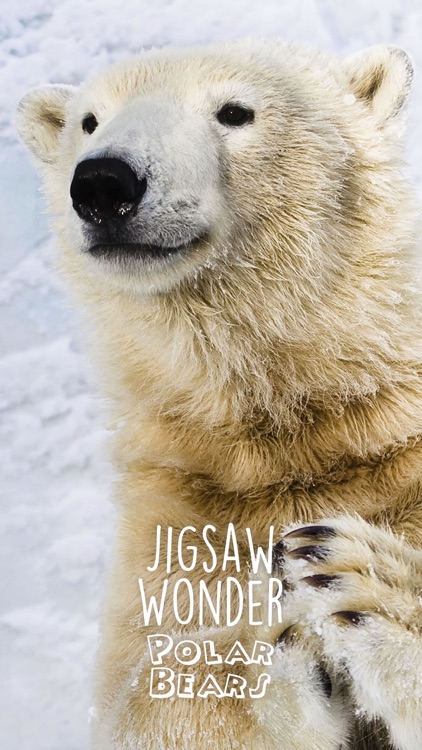 Jigsaw Wonder Polar Bear Puzzles for Kids Free screenshot-4