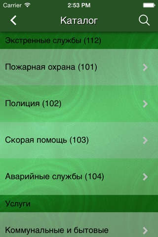 SpravkaChel screenshot 3