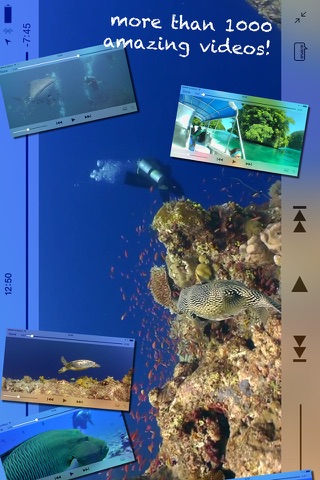 Scuba Diving World screenshot 2