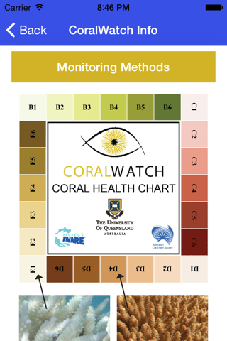 CoralWatch Info screenshot 4