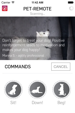 Pet-Remote - Control your dog or pet screenshot 2