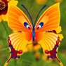 Get Butterfly Shoot for iOS, iPhone, iPad Aso Report
