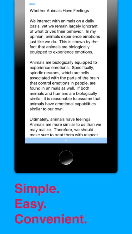 Paper Owl screenshot-4