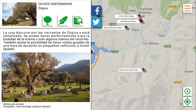 Ruta del Olivar(圖3)-速報App