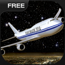 Activities of Flight Simuator New York FlyWings Night Fly 2015 Free