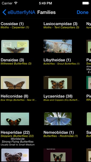 Butterflies & Moths of North America(圖2)-速報App