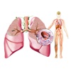 Miniatlas Lung Cancer