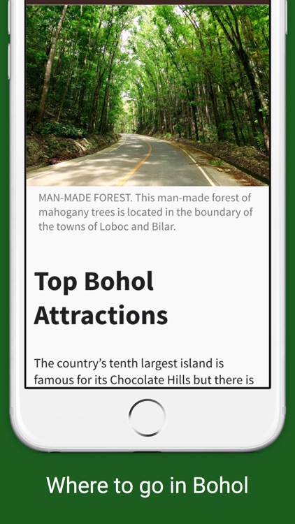 Bohol Guide