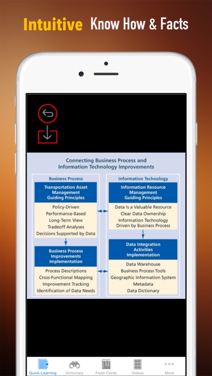 Enterprise Information Technology (IT)& Science Quick Study Reference: Best Dictionary with Video Lessons and Learning Cheat Sheets