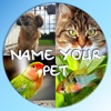Name Your Pet