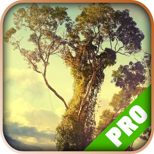 Mega Game - Turok Version iOS App