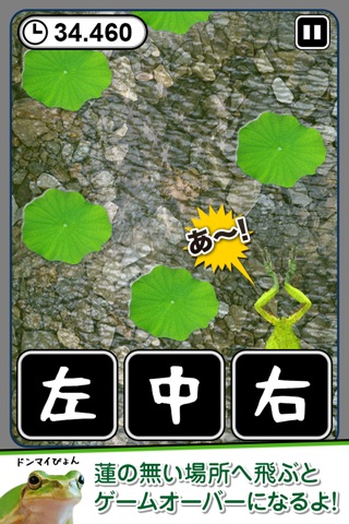 Pyooon screenshot 3