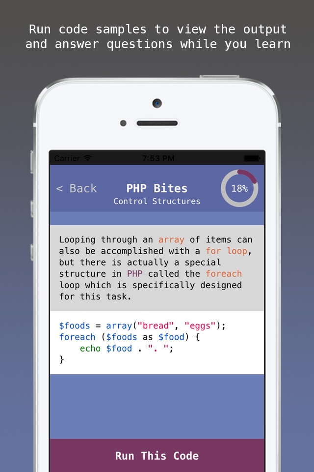 PHP Bites - Learn How to Code in PHP with Interactive Mini Lessons screenshot 4