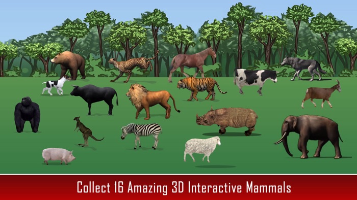 Animal Kingdom Math For Kids
