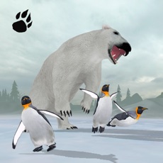 Activities of Polar Bear Chase