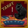 Divination Tarot