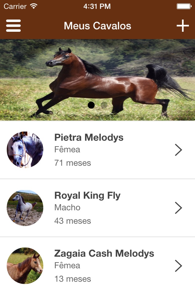 Meu Cavalo App screenshot 3