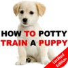 How To Potty Training A Puppy - Complete Guide