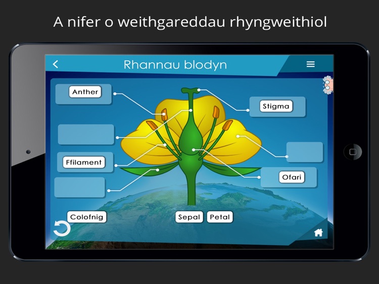 Cyd-ddibyniaeth organebau screenshot-3