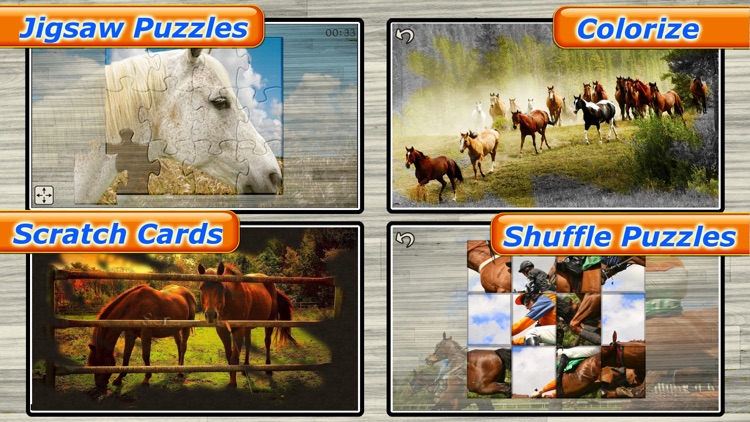 Mighty Horses - Real Horse Picture Puzzle Games for kids screenshot-1