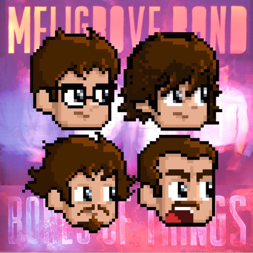 Meligrove Band - Bones of Things Icon