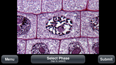 How to cancel & delete Plant Histology Lite from iphone & ipad 3