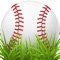 How much do you know about Baseball
