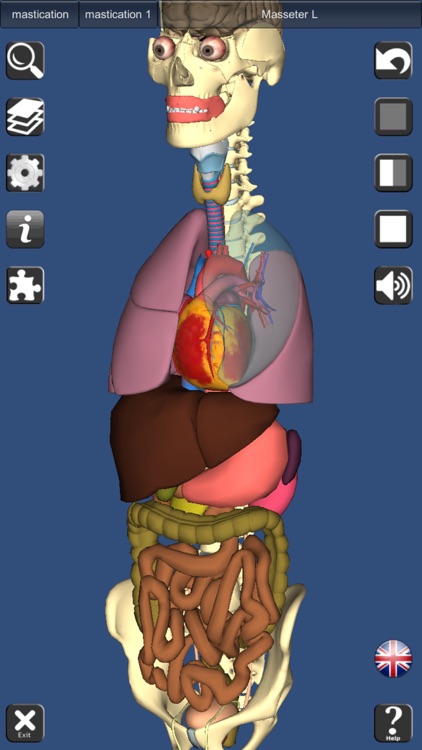 3D Anatomy screenshot-4