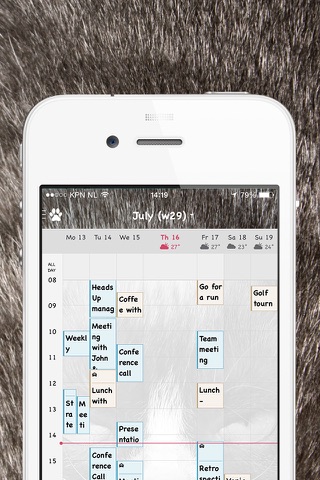 LOLCat Calendar screenshot 4