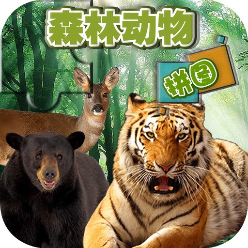 IQ Challenge - Forest animals Intellectual puzzles (Free) icon