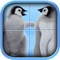 Tile puzzle game for entertainment puzzle, has a lot of beautiful puzzle pictures available