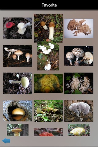 Mushrooms Info screenshot 2