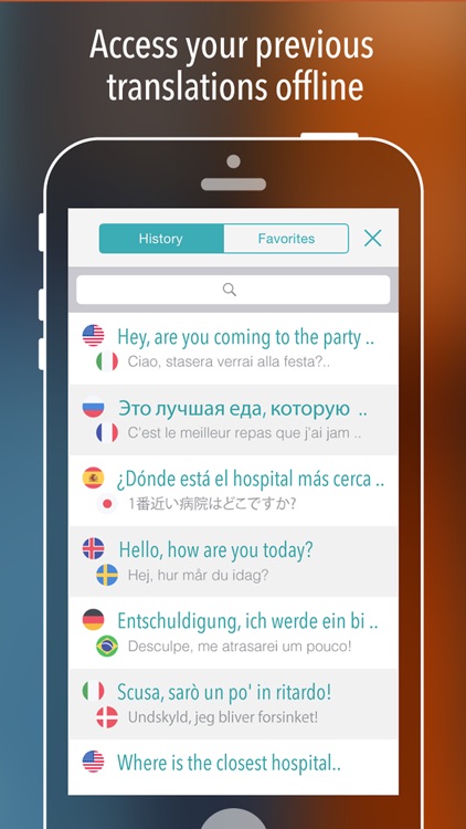 Clear Translation screenshot-3