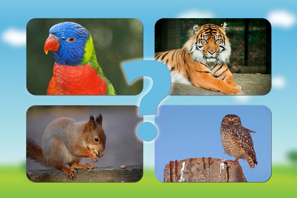 Animal sounds and photos for kids and babies - Touch to hear and learn animals sound and names screenshot 4
