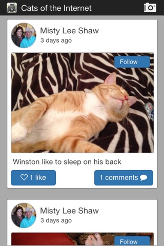 Cats of the Internet screenshot 2