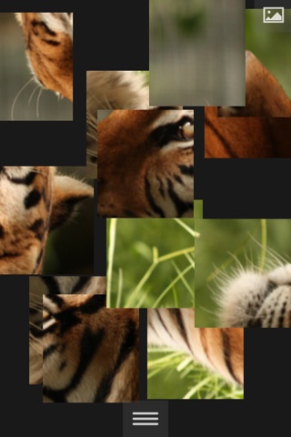 Puzzlemania - Make your photos puzzles screenshot 2