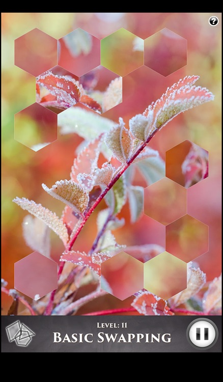 Hidden Scenes - Winter Frost