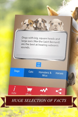 Pets Facts - Free Trivia for Animal Lovers screenshot 3