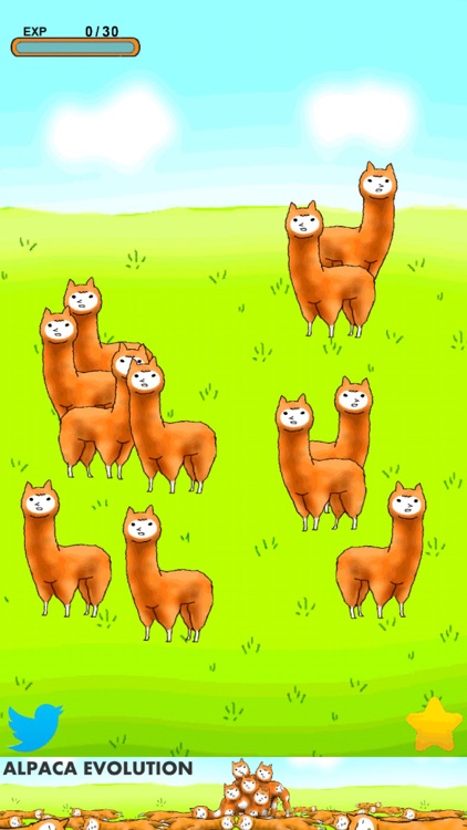 Alpaca Evolution