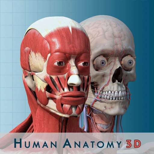 Anatomy and Physiology 3D : Anatomical Model of the Human Body icon