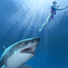 Top 37 Games Apps Like Great White Shark Attack - Best Alternatives