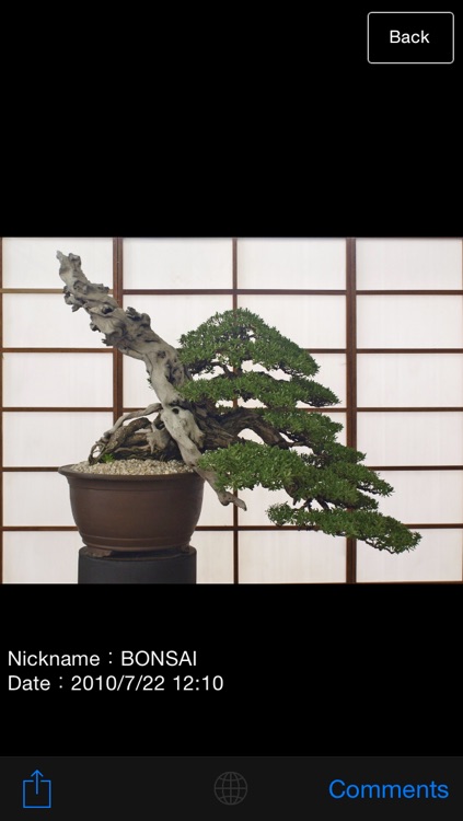 The BONSAI World【みんなの盆栽】 screenshot-4