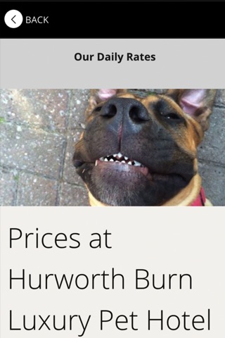 Hurworth Burn Luxury Pet Hotel screenshot 4
