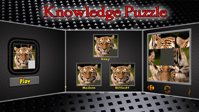 Knowledge Puzzle