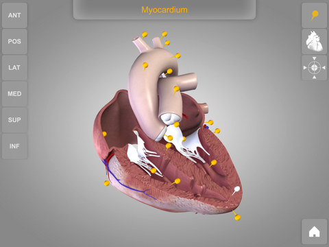 心臓解剖 Heart 3D Atlas of Anatomyのおすすめ画像3