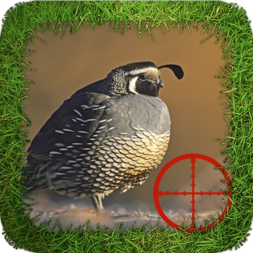 Dove Hunting Reloaded Icon